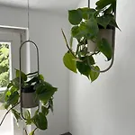 Ξενοδοχείο Stadt Boutiquehotel *